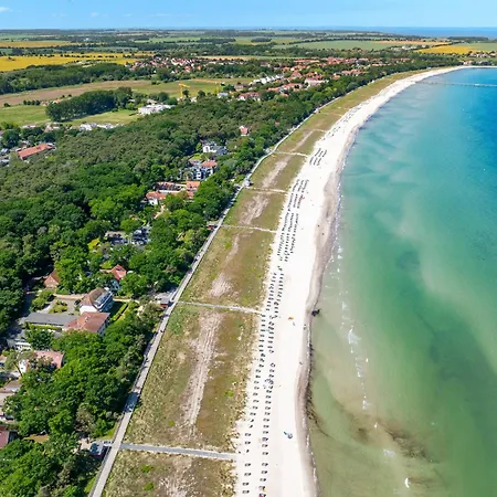 Strandvilla Scholle - Hering 03 *